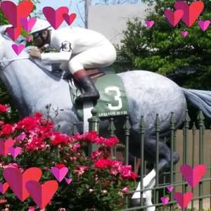 Meet your Posher, Johnson